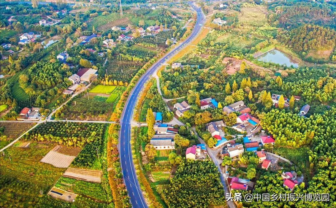 乡村振兴产业方面存在的问题,乡村振兴最有前景九大产业