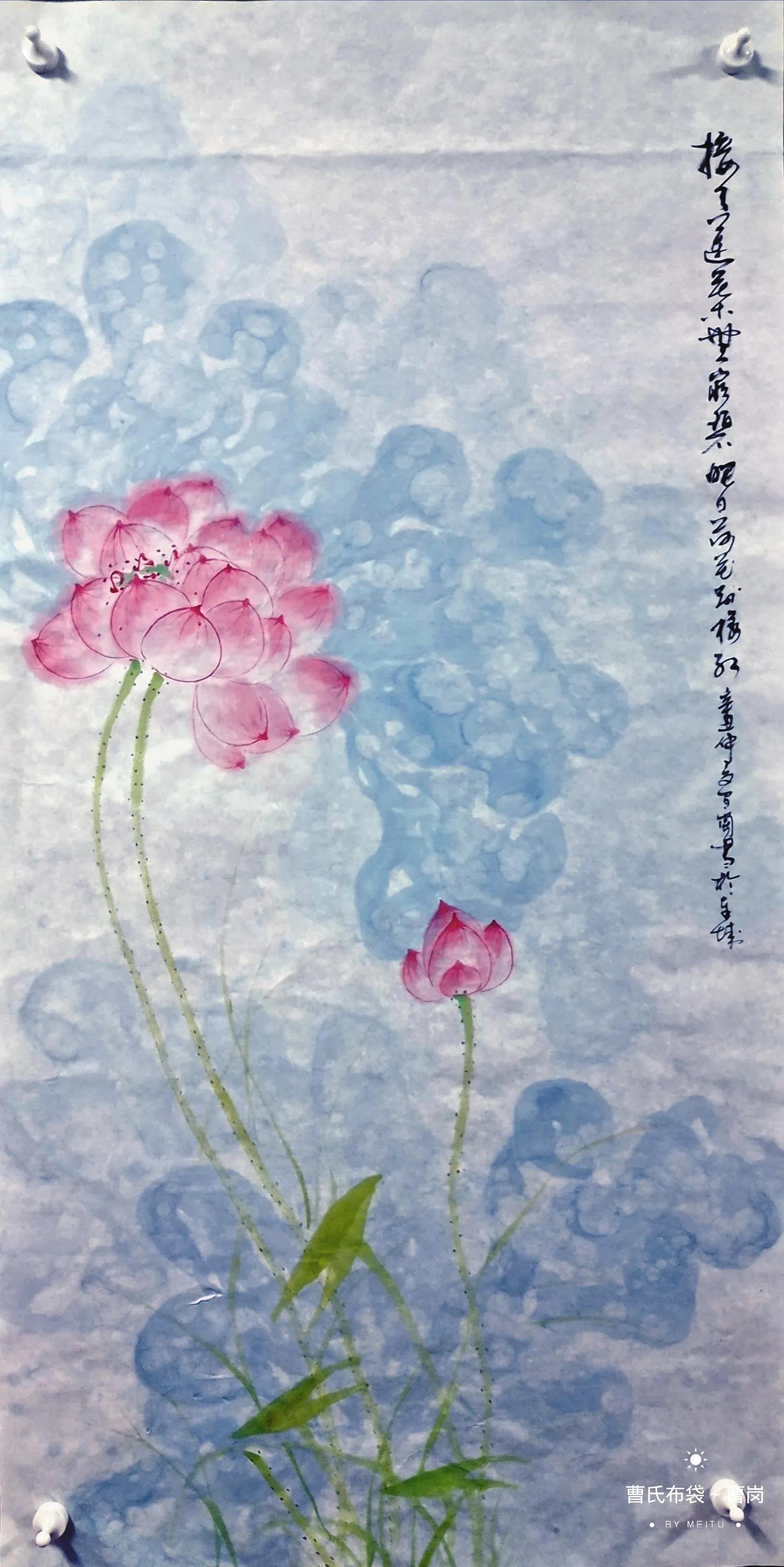 净土莲花~佛荷缘