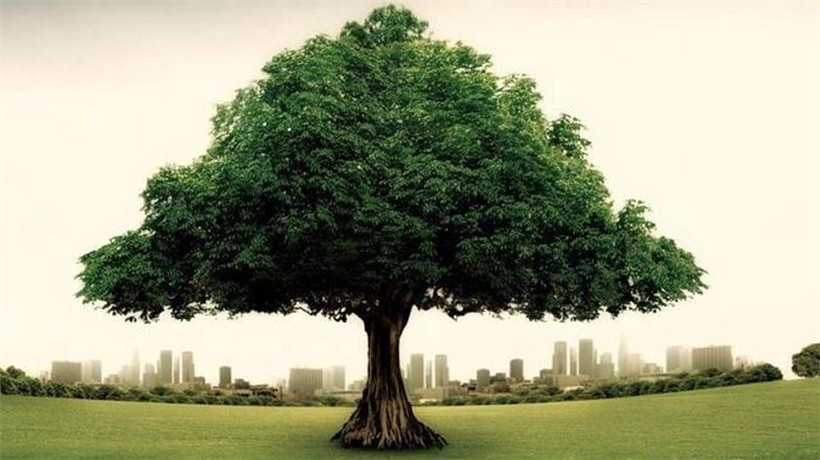 柔力球放飞梦想完整版,柔力球带上梦想一路飞翔