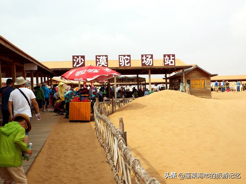 宁夏沙坡头游记,畅游宁夏