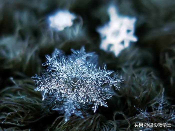 如何拍好微距摄影,摄影微距时怎么拍清全貌