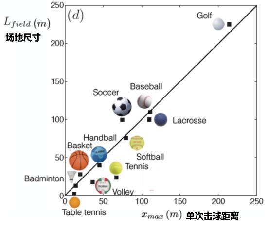 奥运会球速最快的球,运动场上什么球的速度最快
