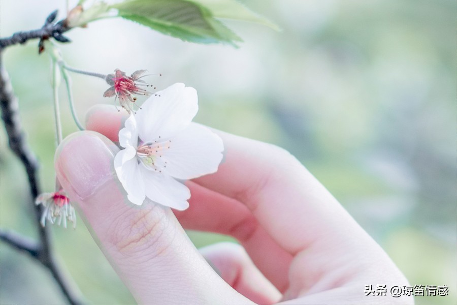 结婚后被催着生娃,刚结婚一个月婆婆催着让生孩子