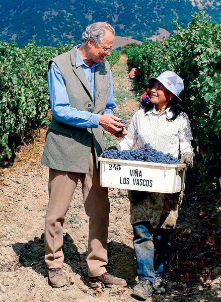 拉菲与葡萄酒的区别,拉菲跟普通葡萄酒的区别