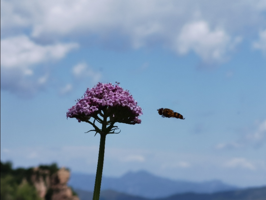 驼梁‖一处来了就会让你爱上的地方