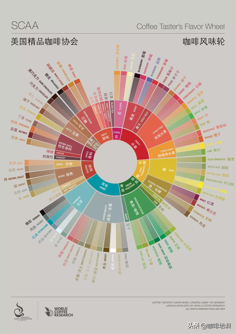 知识｜品鉴咖啡时，准确地描述咖啡的口感和风味特点