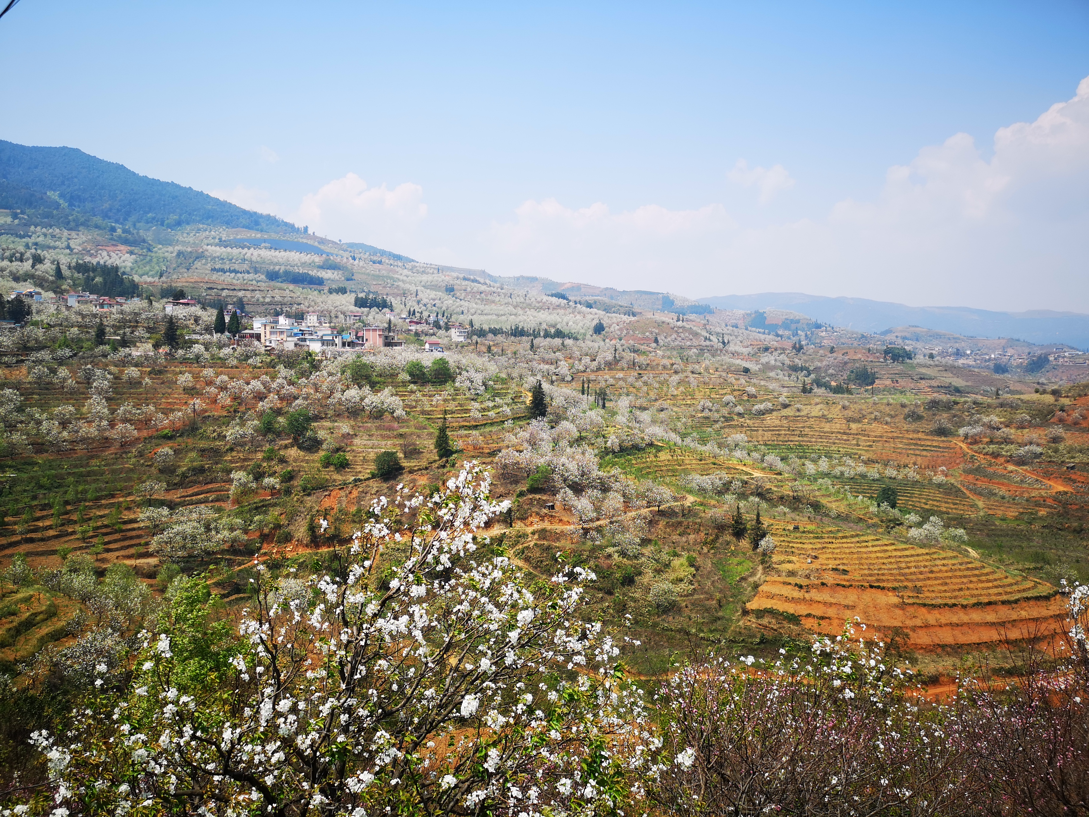 去云南旅游自驾2万元够吗,不到2000元的云南十日游