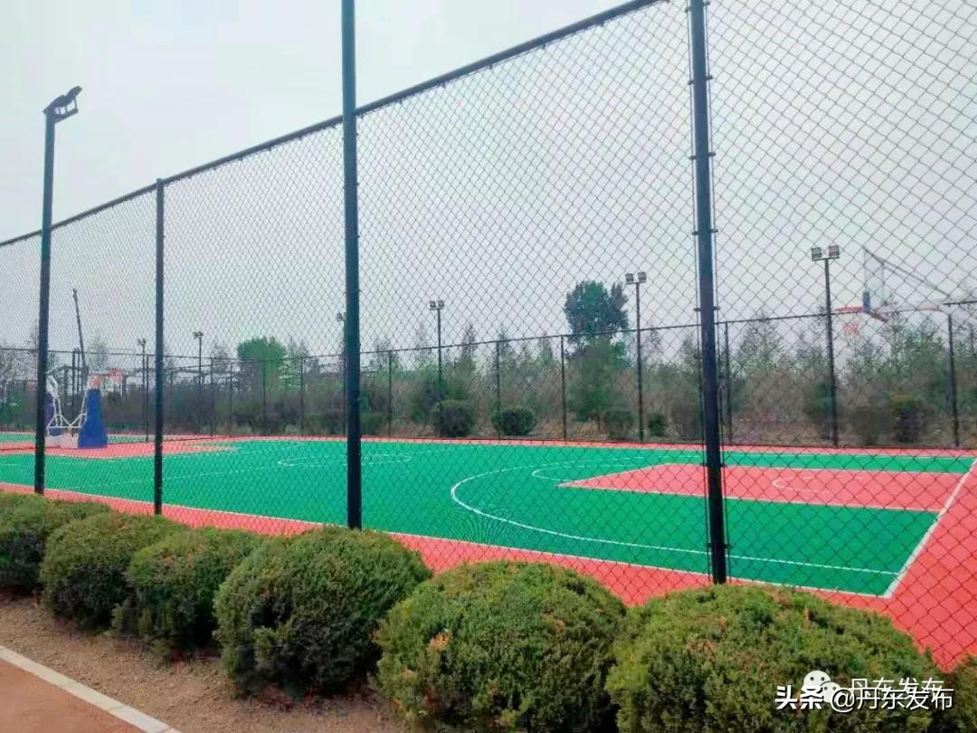 健身游泳两不误,健身娱乐两不误