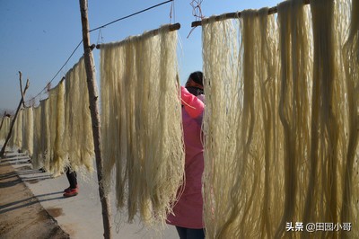 红薯销路,红薯秧销路怎么找