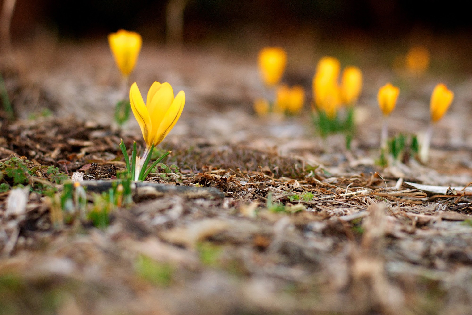 单反相机的基本原理和构成,单反相机使用小常识
