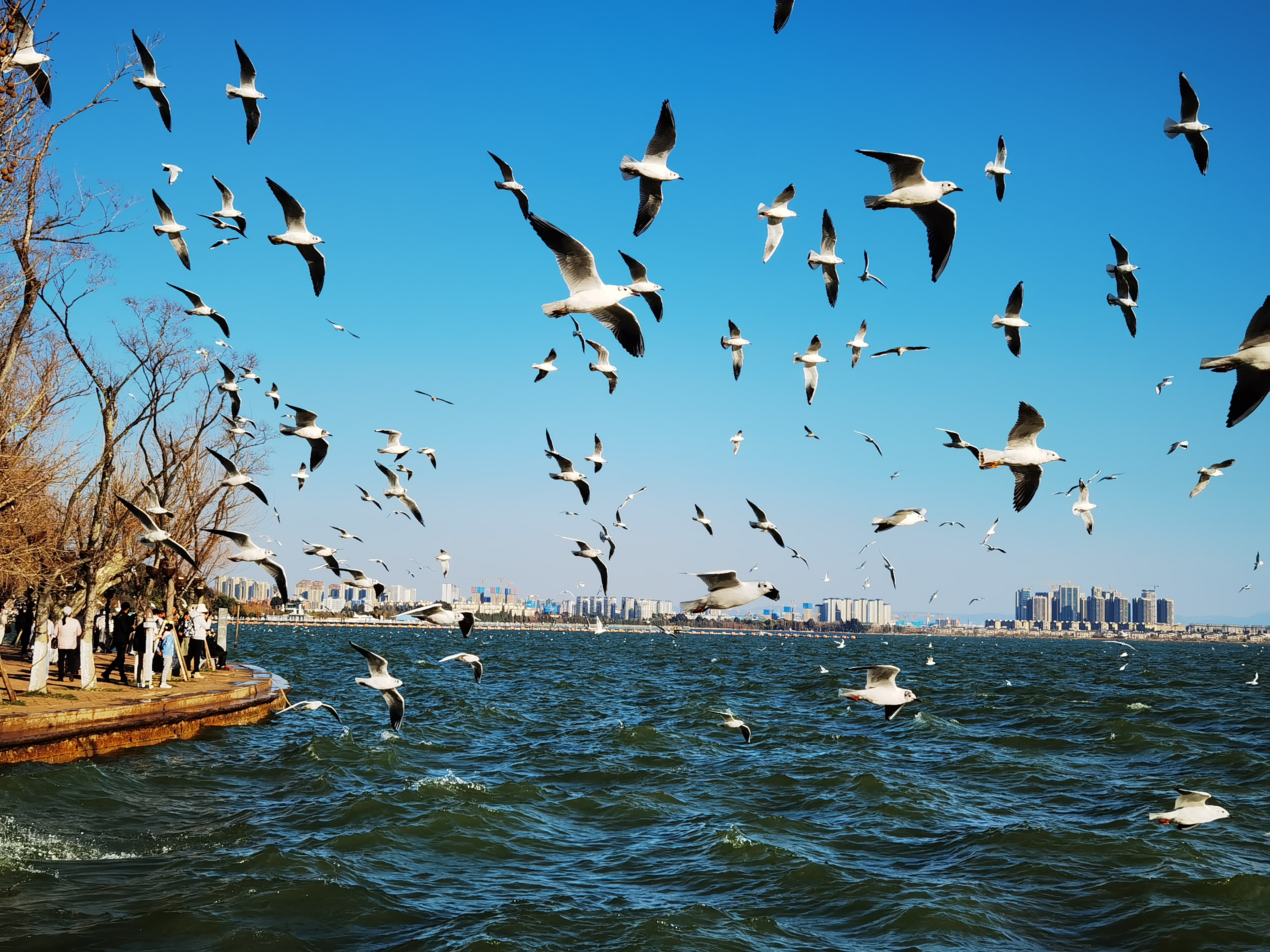 昆明真实的五一度假攻略图片,昆明游玩景点夜景图片真实