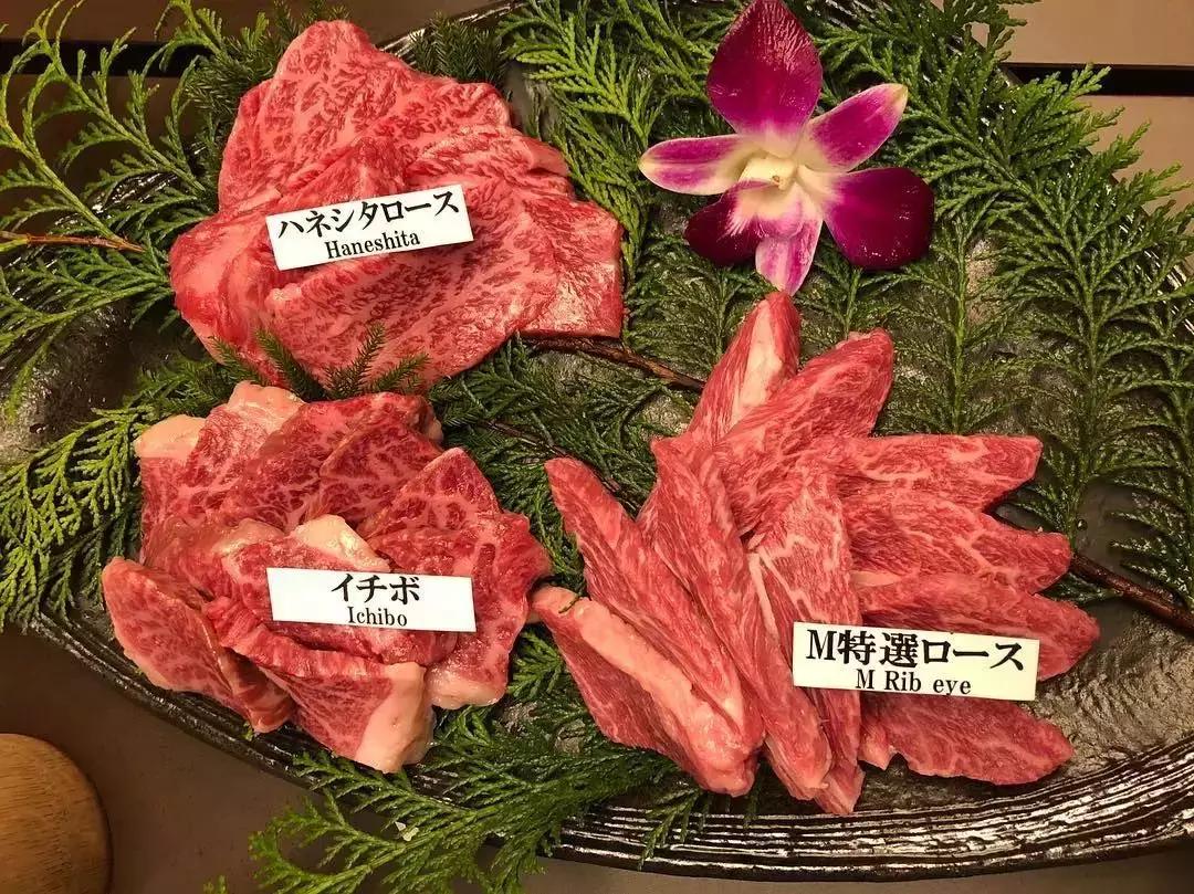 大阪难波站攻略,日本大阪美食攻略最新