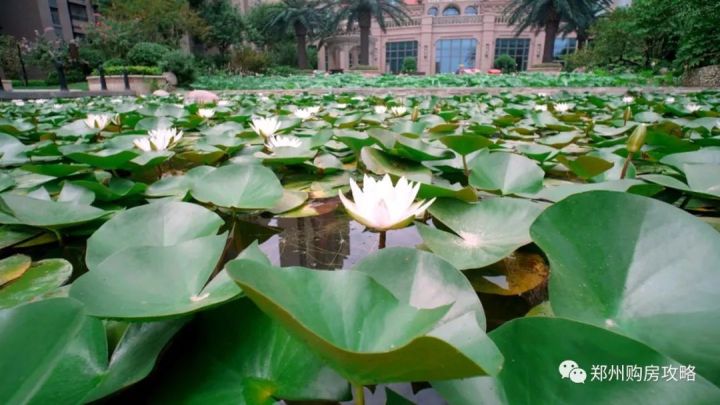 恒大城三期郑州学校,恒大城郑大实验小学