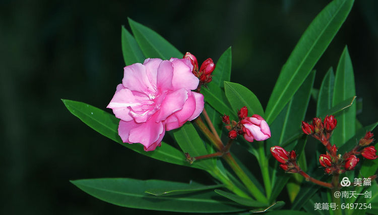 霜降粤语版,霜降粤语歌曲