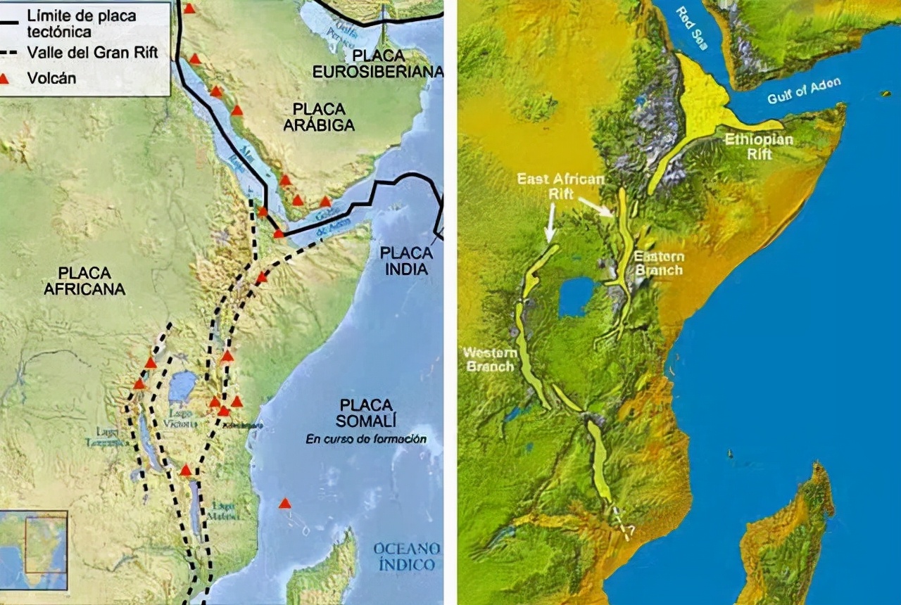 脱毛为啥?114万年前人类褪毛,只剩阴毛、头发等,究竟有啥用?