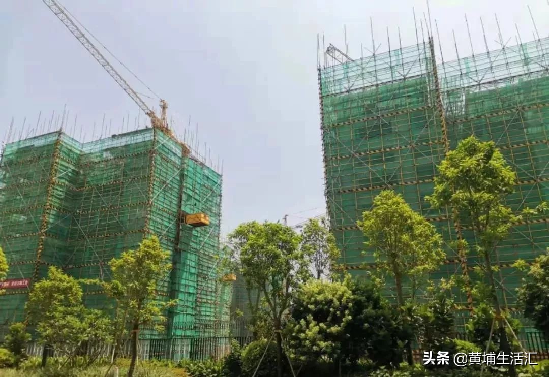 黄埔万科幸福誉值得购买不,黄埔万科幸福誉