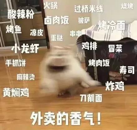 首寄快递免费,快递首单免费寄件