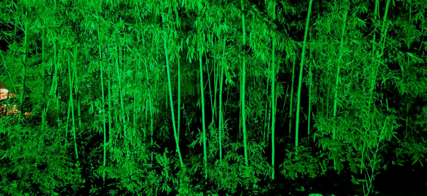 三门峡天鹅湖大酒店,天鹅湖大酒店附近商业街