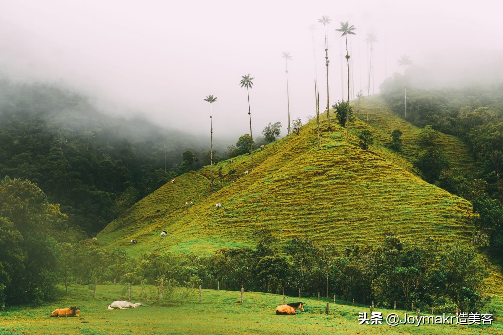 哥伦比亚最佳旅游景点,哥伦比亚游玩