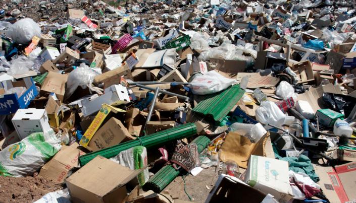 人类胚胎发现塑料,人类胎盘发现微塑料