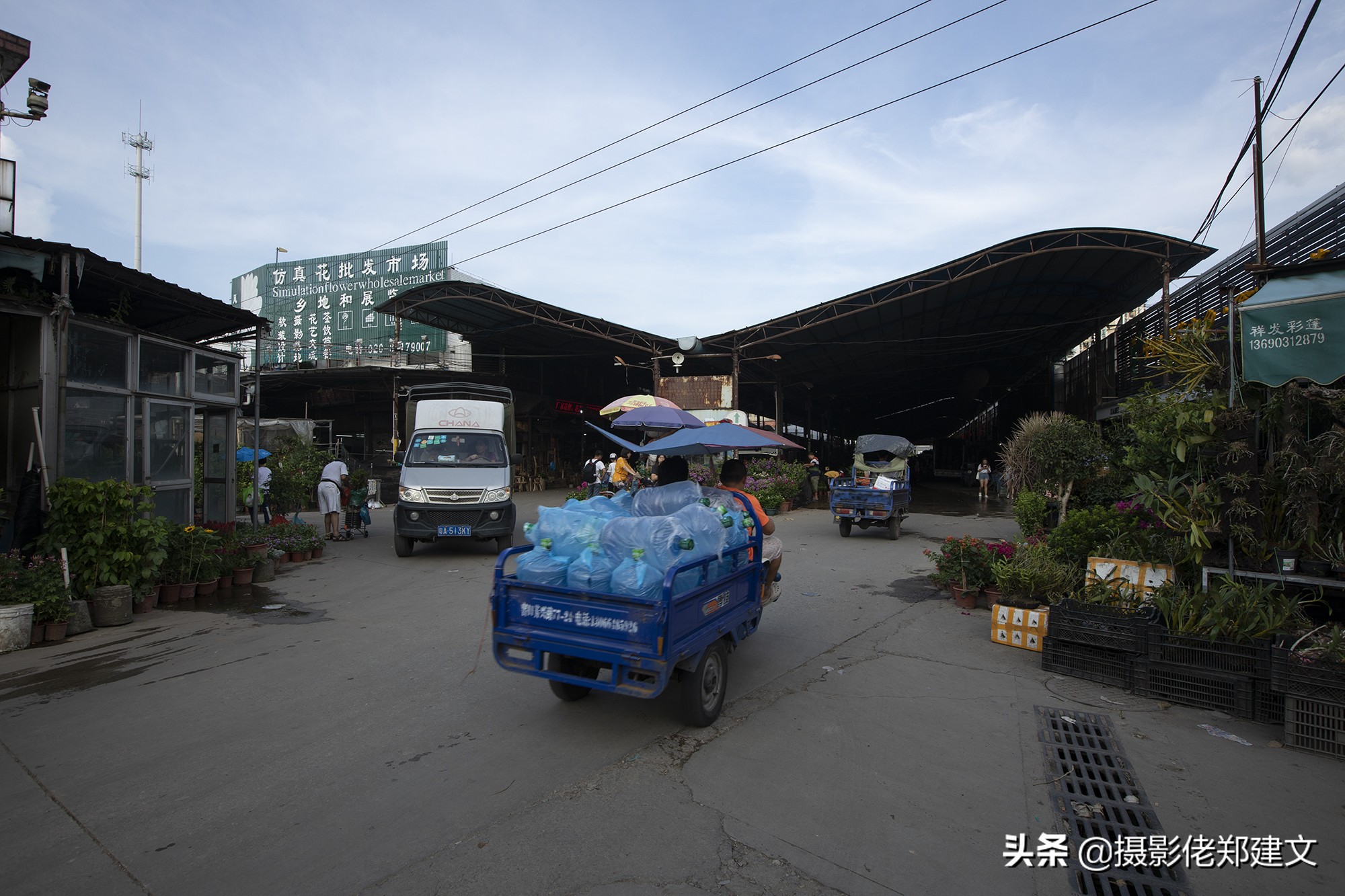 中国最大鲜花交易市场在哪座城市,南方最大的批发鲜花市场