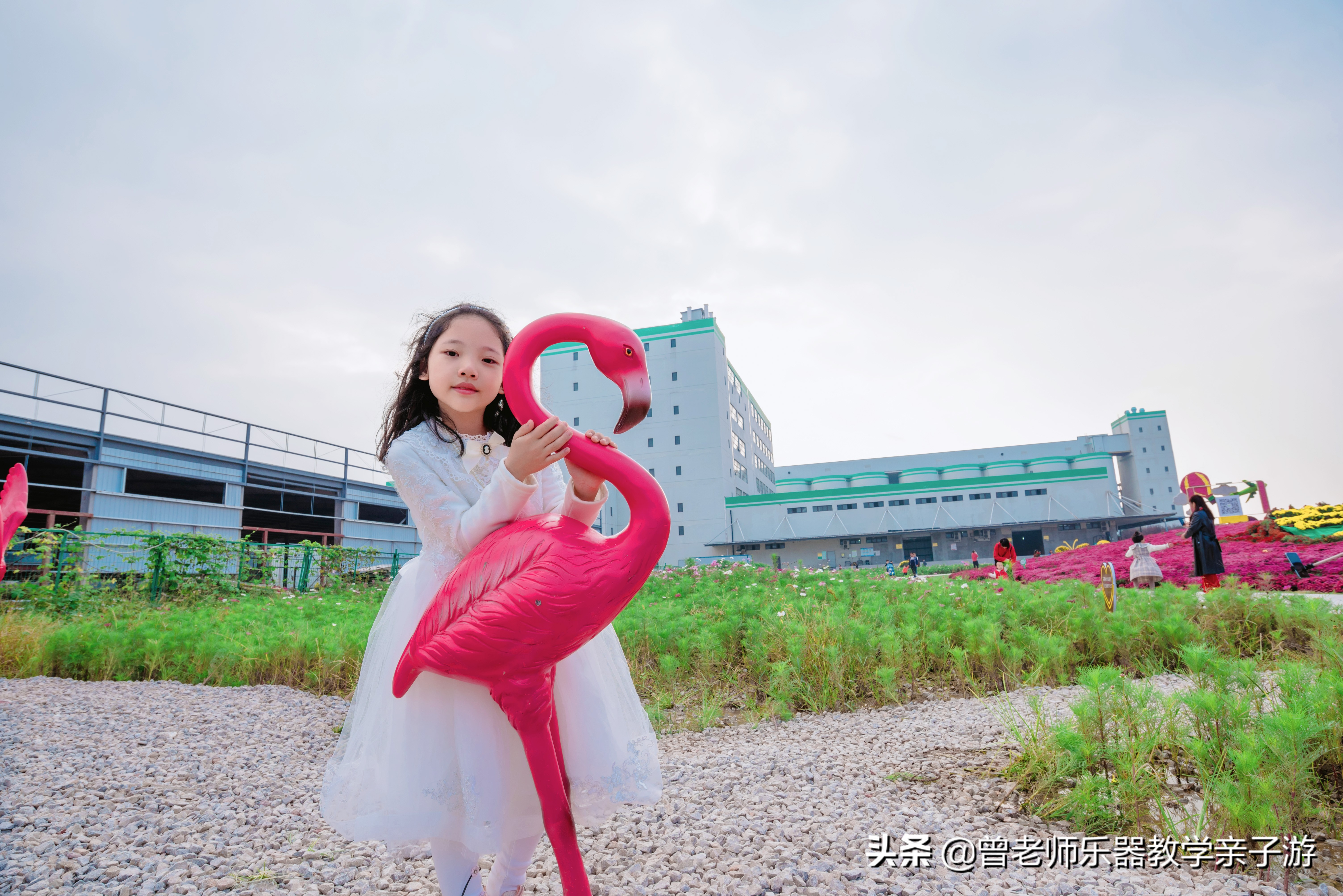 爱菊研学游,爱菊丝路文化菊花园西安