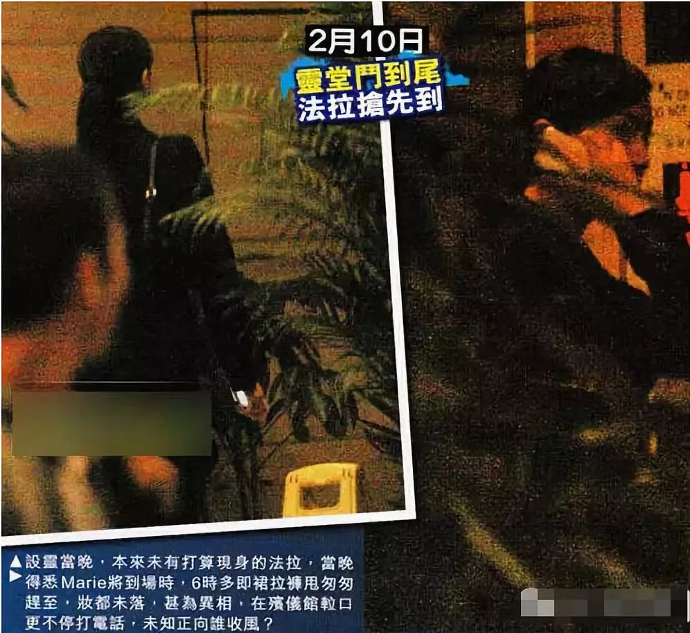 诸葛梓岐婚姻危机,诸葛梓岐豪门