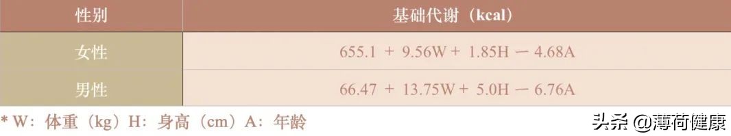 轻断食减肥法全解读,轻断食减肥法食谱5天瘦十斤