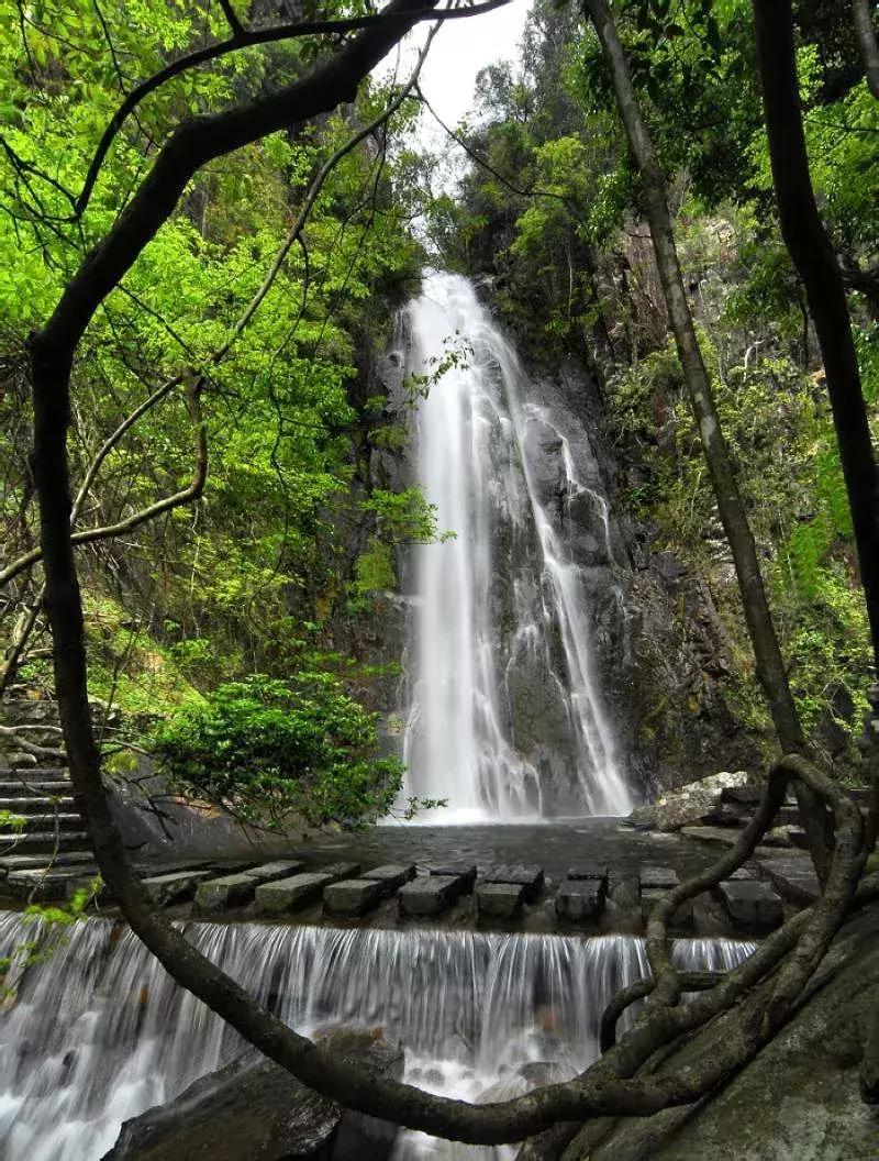 贺州姑婆山天然氧吧,姑婆山天然氧吧