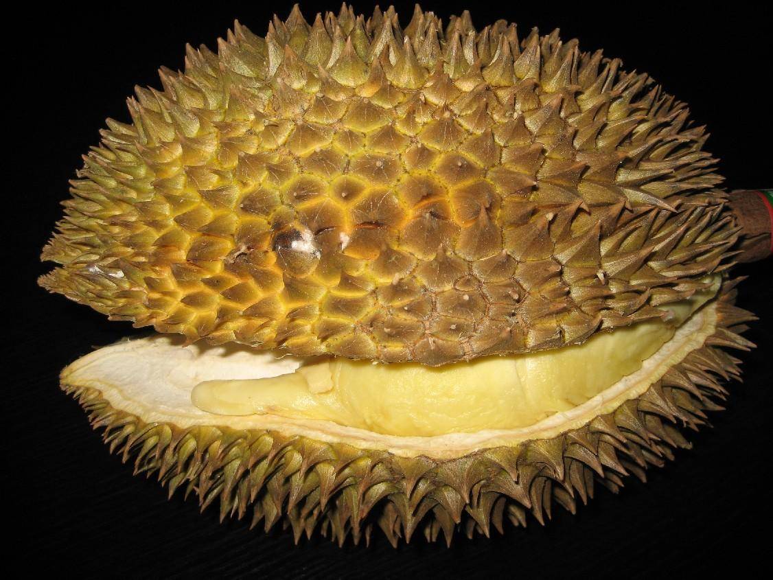 裂口大的榴莲能吃吗,有裂口的榴莲