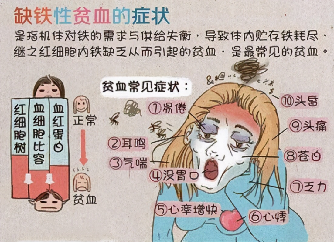 补铁蛋白的正确方法,如何正确补铁呢
