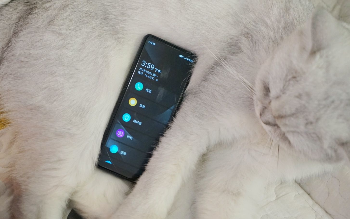 2代多亲ai助手,多亲ai助手2代升级全面屏