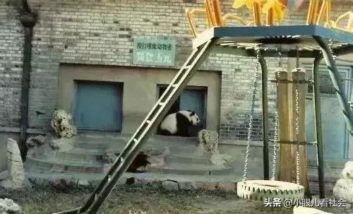 我独家的记忆,我的独家记忆照片