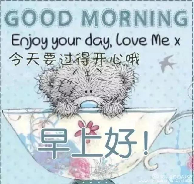 问好表情包｜生活就像一架钢琴：白键是快乐，黑键是悲伤。