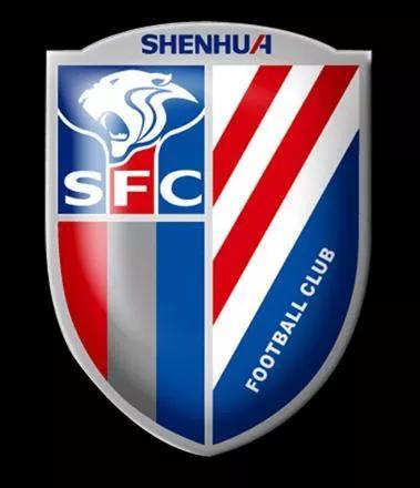 中国足球职业化排名,深度分析中国足球发展之路