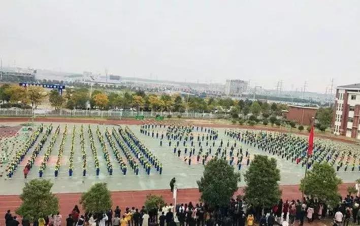 上海的小学教育资源真的更好吗,上海十所优质公办小学