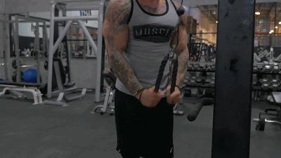 手臂又细又有肌肉线条怎么练,手臂强壮结实怎么练细