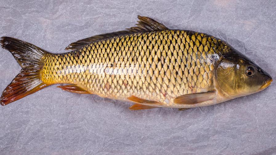 平底锅煎鱼不掉皮,煎鱼不掉皮怎么做