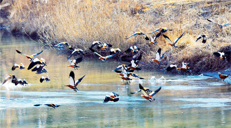长治市简介概况介绍,长治市简介文字