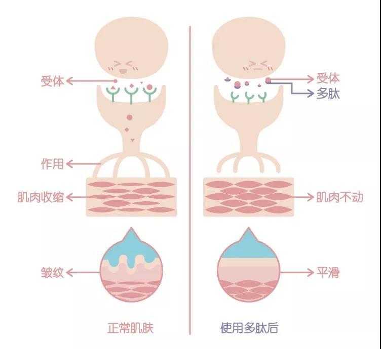 加速女人衰老的5个原因,加快女性衰老的3种原因