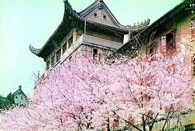 九天诗词2020春天诗词集雅第六集