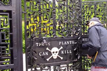 世上最毒的花园,最毒的花园有多可怕