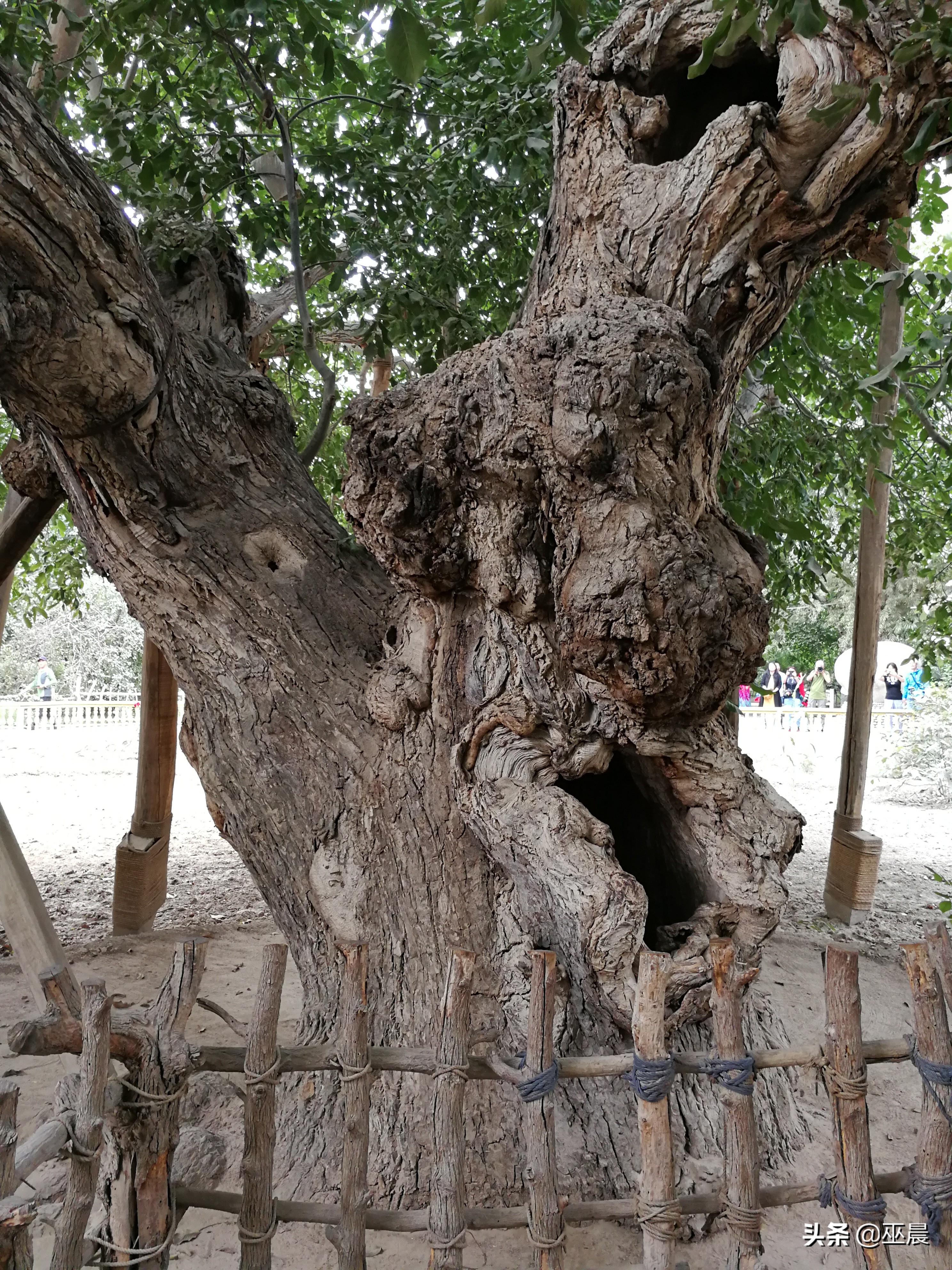 十八天*疆新**自由行（下集，南疆）