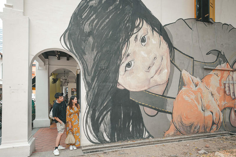 一人一猫环游,一人一猫旅行