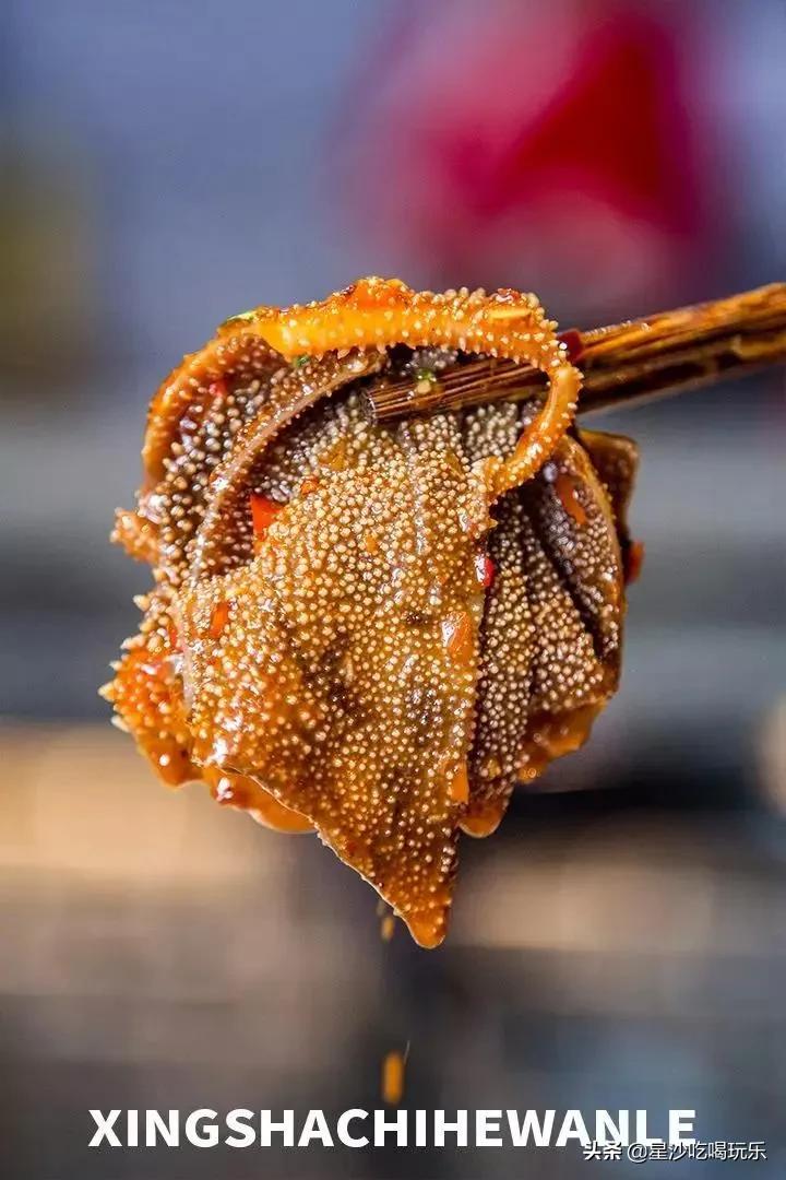 人间值得铭溪经典朗读,人间值得茗溪解读