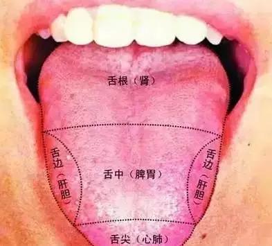 肝火胃火旺湿气重口臭虚火,火在肺咳嗽火在肝里失眠