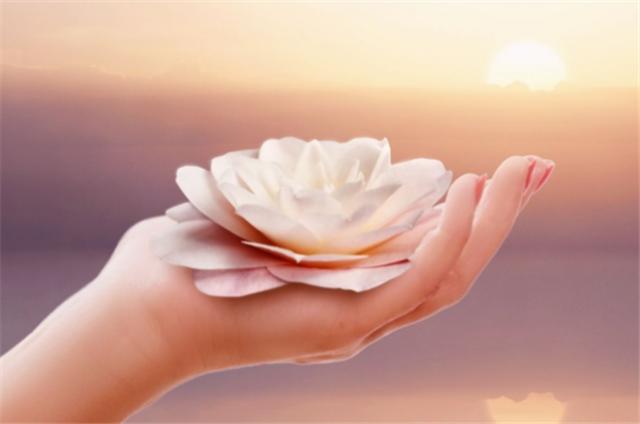 碰了不该碰的人动了不该动的心,我爱了不该爱的人加了不该加的人