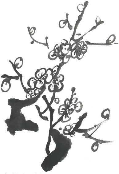 国画梅花上的雪画法步骤教程视频,零基础国画入门画梅花教程