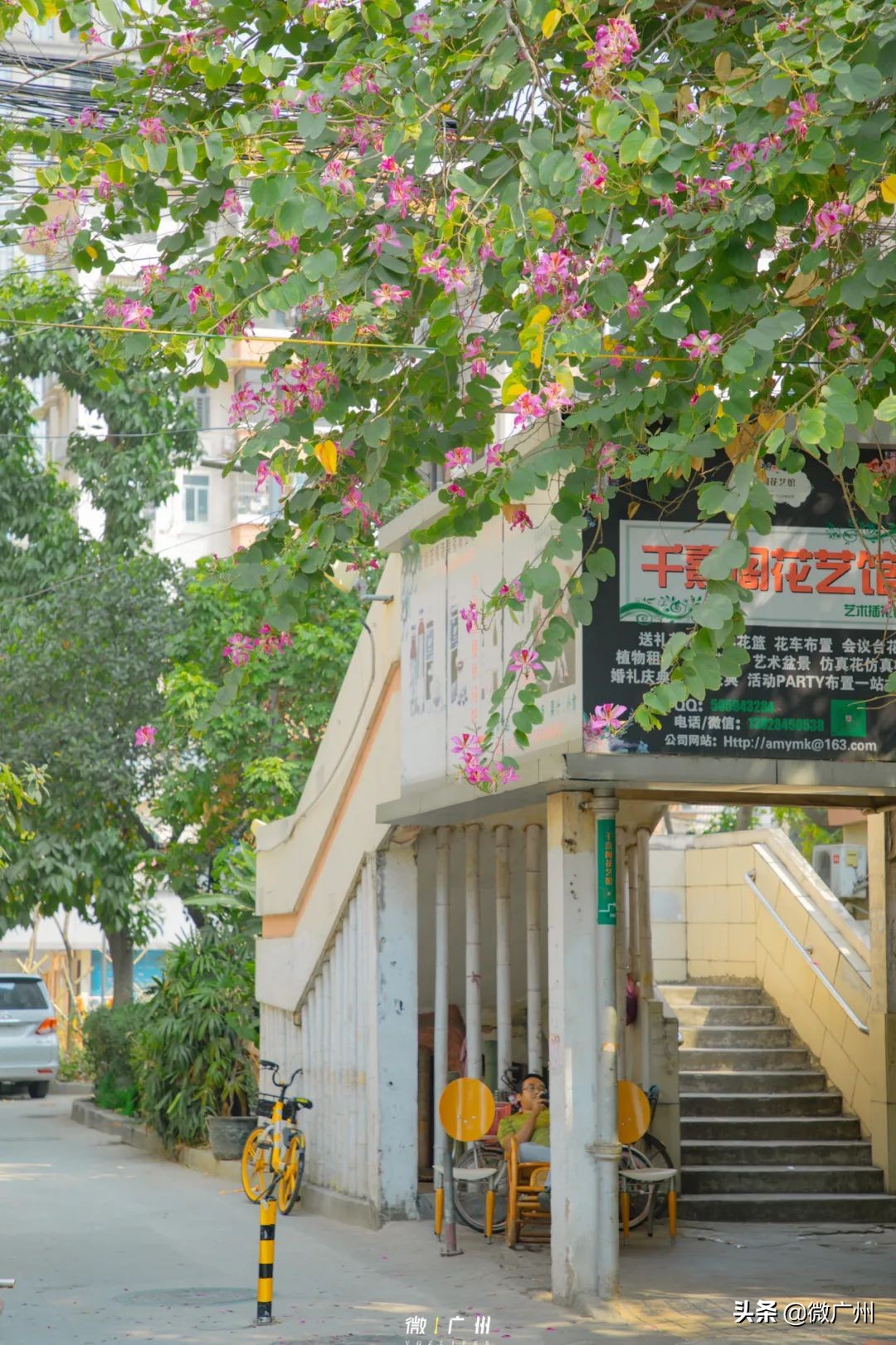 广州五羊邨富人区,广州被遗忘的荒村