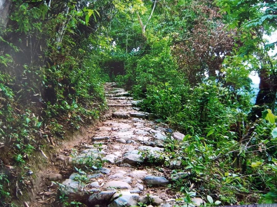 昔逐红尘千里归,昔逐红尘千里归出自哪里